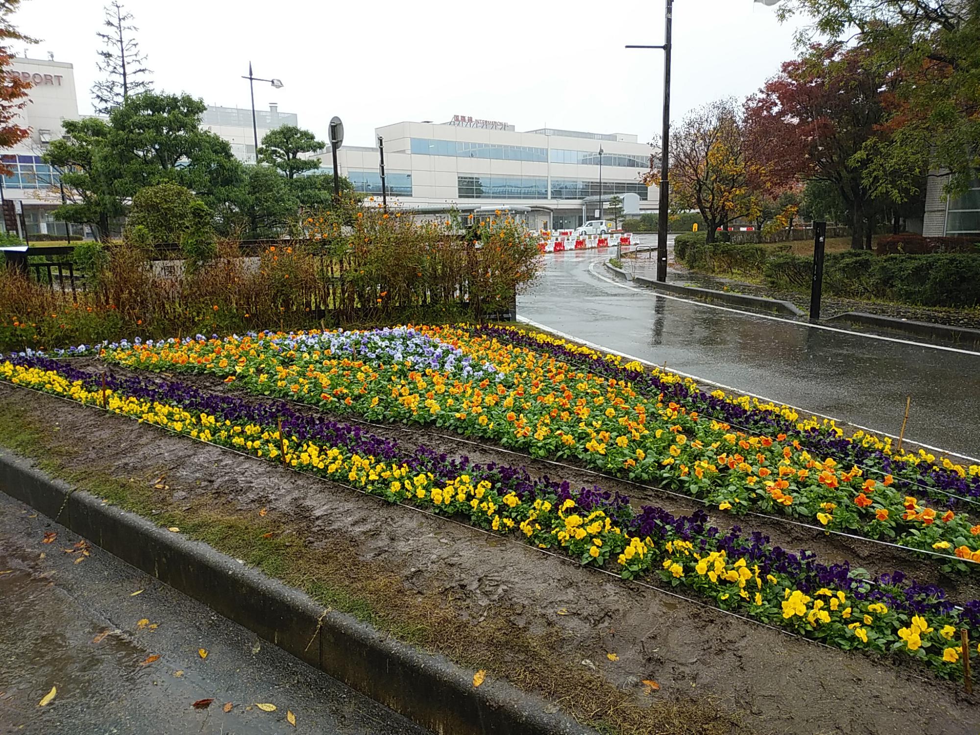 富山きときと空港 花植えボランティア